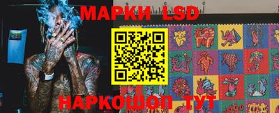 прущие грибы Краснокаменск