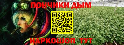 прущие грибы Краснокаменск