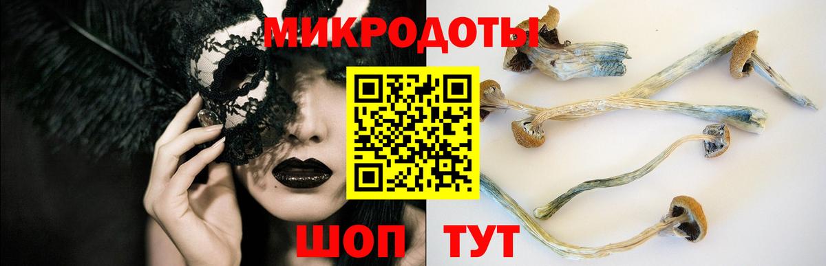 Сафоново  Псилоцибиновые грибы мухоморы  Вход с VPN 